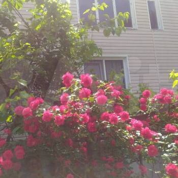 Сдается Дом, 67 м²