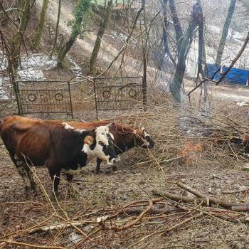 Продается Участок, 670 м²