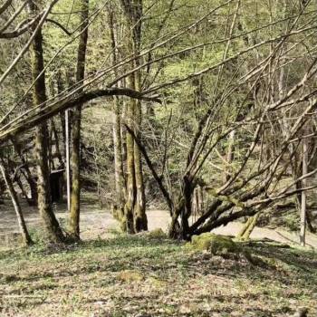 Продается Участок, 670 м²