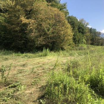 Продается Участок, 850 м²