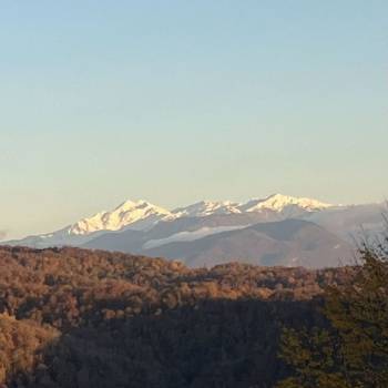 Продается Участок, 540 м²