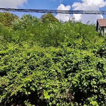 Продается Участок, 500 м²