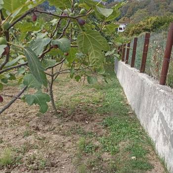 Продается Участок, 500 м²