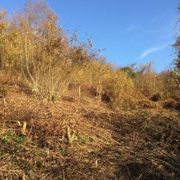 Продается Участок, 600 м²