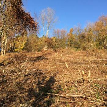 Продается Участок, 600 м²