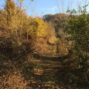 Продается Участок, 600 м²