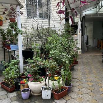 Сдается Комната, 0 м²