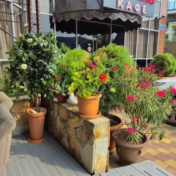 Продается Нежилое помещение, 362 м²