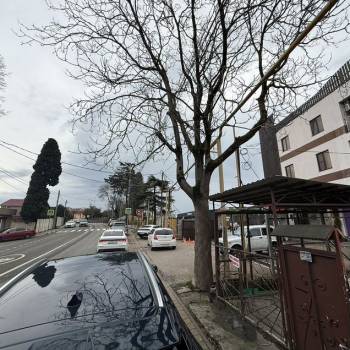 Сдается Нежилое помещение, 20 м²