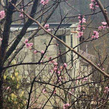 Продается Дом, 114,7 м²