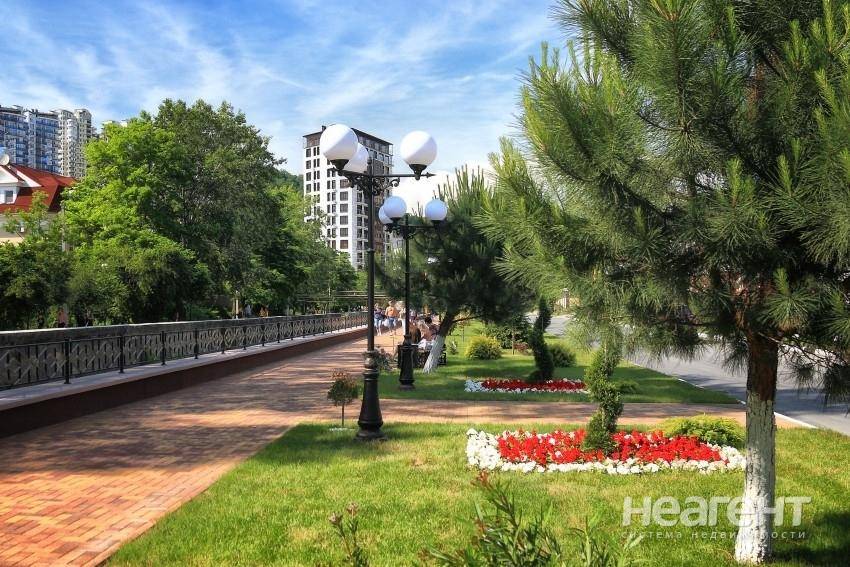 Фотография №2