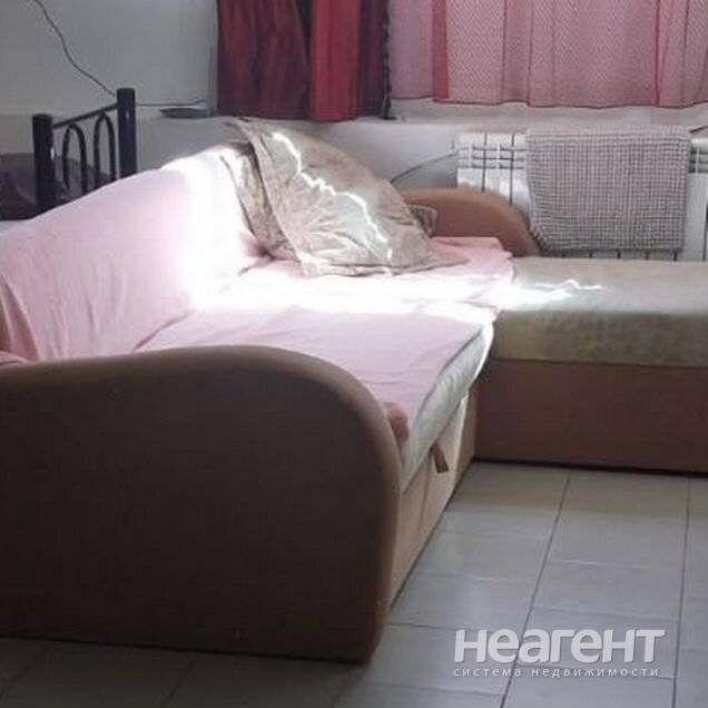 Фотография №3