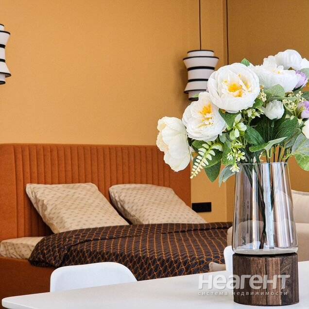 Фотография №2