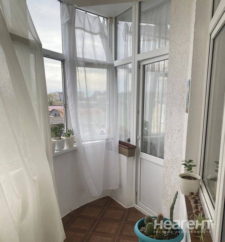 Фотография №3