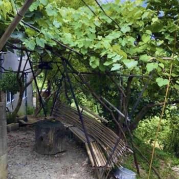 Сдается Комната, 15 м²