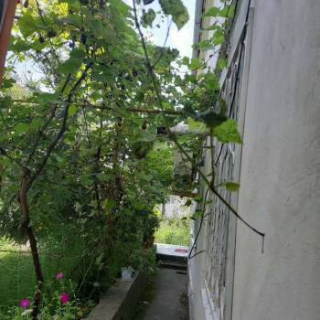 Сдается Комната, 18 м²