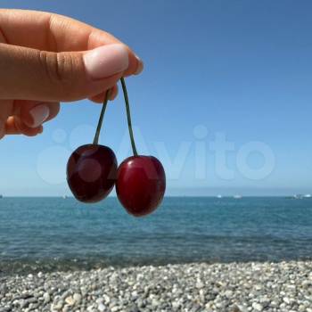 Сдается 2-х комнатная квартира, 42 м²