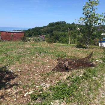 Продается Участок, 500 м²