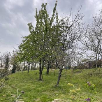 Продается Участок, 1000 м²