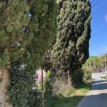 Продается Участок, 1200 м²