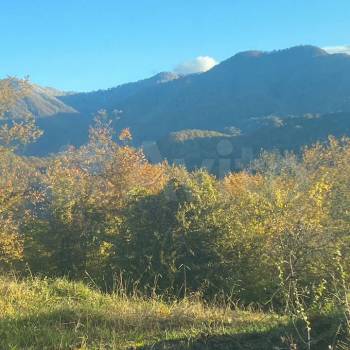 Сдается Дом, 43 м²