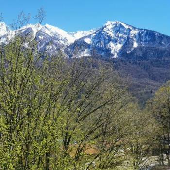 Сдается 1-комнатная квартира, 22 м²