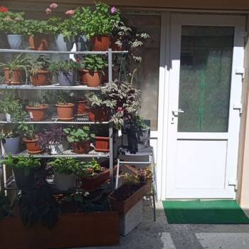 Сдается Комната, 15 м²