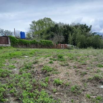 Продается Участок, 40000 м²