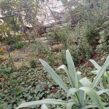 Продается Участок, 600 м²