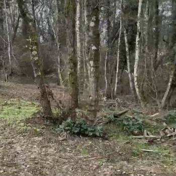 Продается Участок, 500 м²