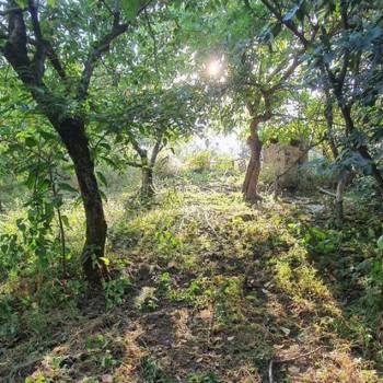 Продается Участок, 500 м²