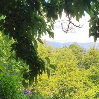 Продается Участок, 500 м²