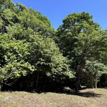 Продается Участок, 600 м²