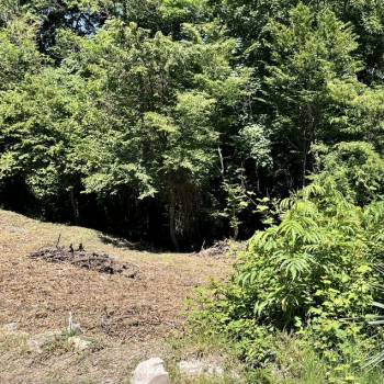 Продается Участок, 600 м²