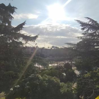 Сдается 1-комнатная квартира, 28,1 м²