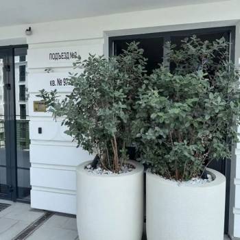 Сдается 1-комнатная квартира, 27 м²