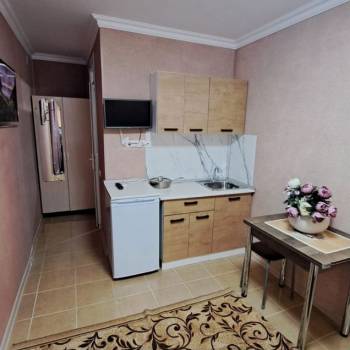 Сдается 1-комнатная квартира, 28 м²