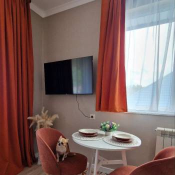 Сдается 1-комнатная квартира, 24 м²