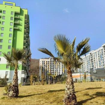 Сдается 1-комнатная квартира, 29 м²