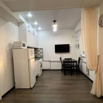 Сдается 1-комнатная квартира, 21,7 м²