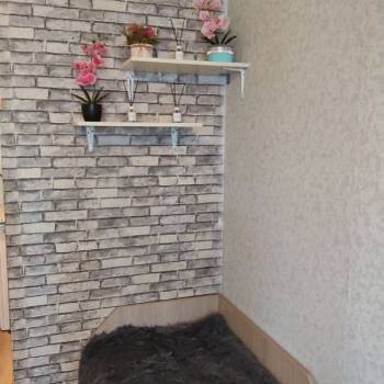 Сдается 1-комнатная квартира, 20 м²