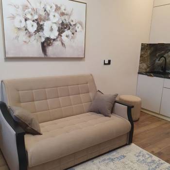 Сдается 1-комнатная квартира, 30 м²