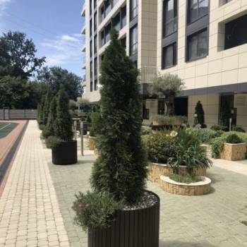 Сдается 1-комнатная квартира, 30 м²