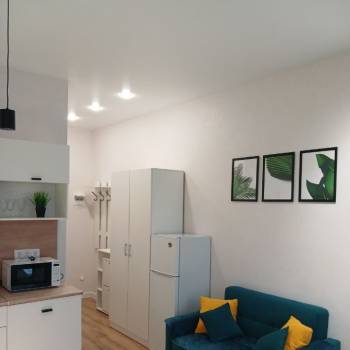 Сдается 1-комнатная квартира, 25,5 м²