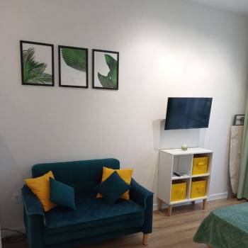 Сдается 1-комнатная квартира, 25,5 м²