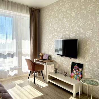 Продается 1-комнатная квартира, 24,8 м²