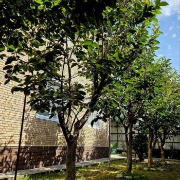 Сдается 1-комнатная квартира, 23 м²