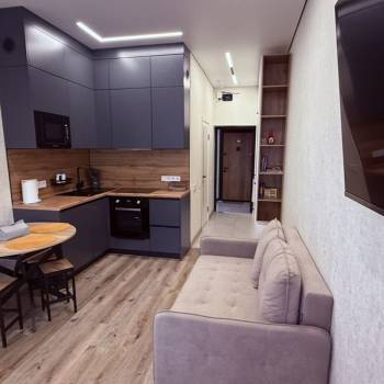 Сдается 1-комнатная квартира, 26,6 м²