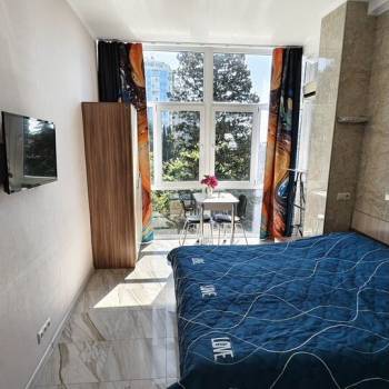 Сдается 1-комнатная квартира, 20,4 м²