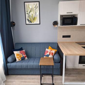 Сдается 1-комнатная квартира, 30,2 м²